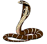 S1